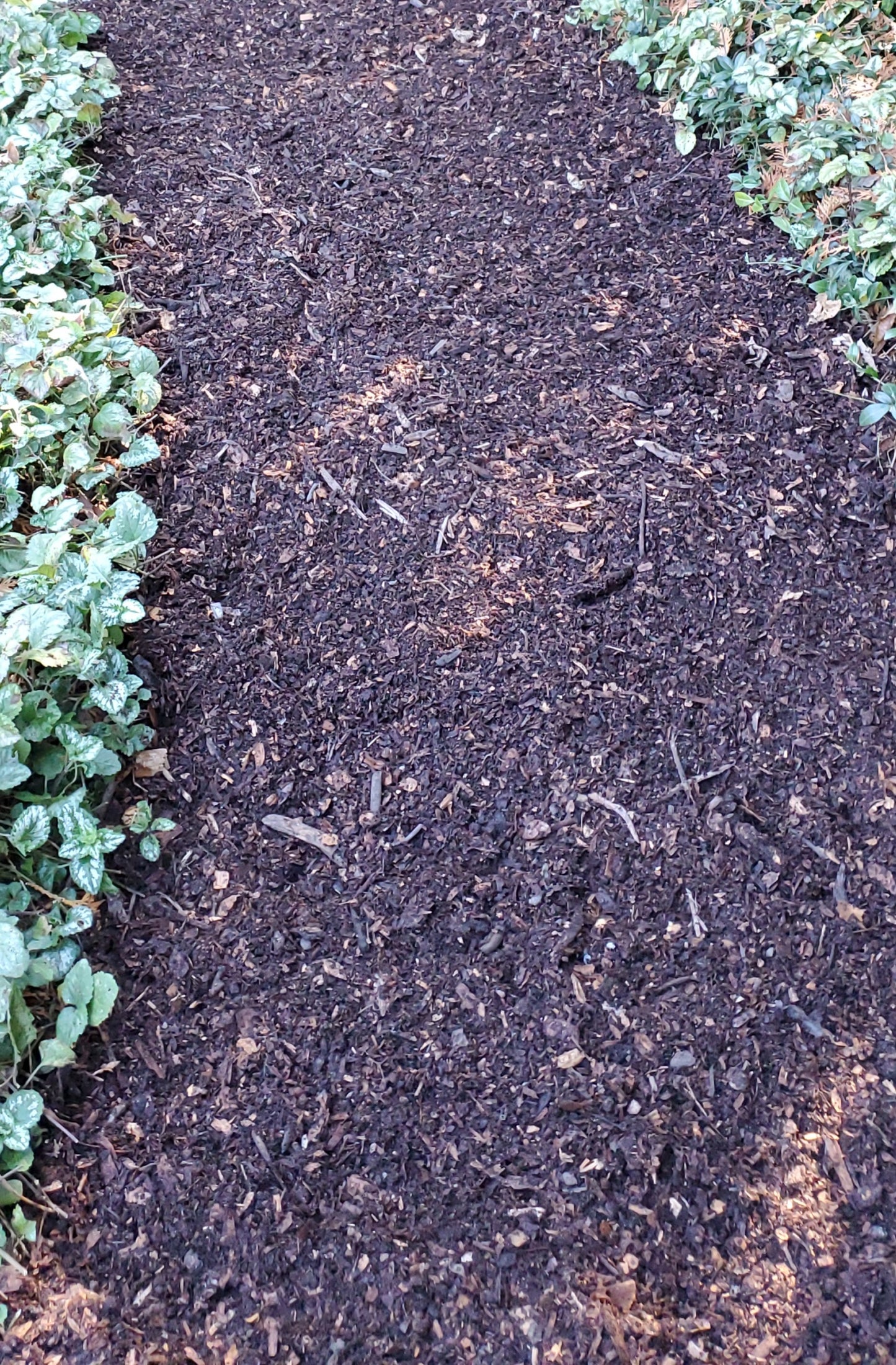 Mulch - Contact for Quote