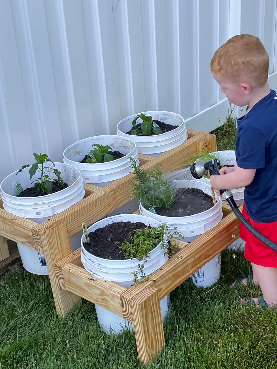 Bucket Garden