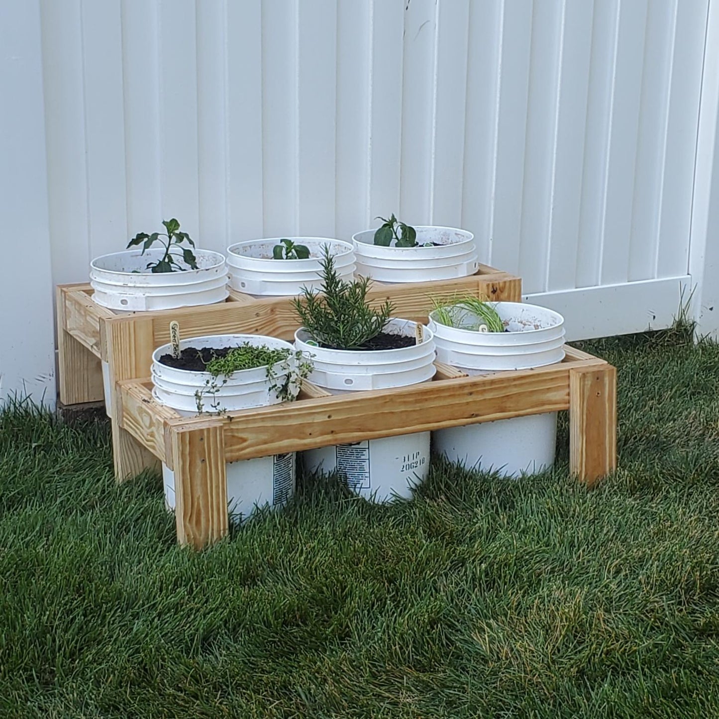 Bucket Garden