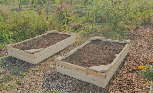 Raised Garden Bed