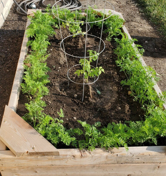 Garden Consultation