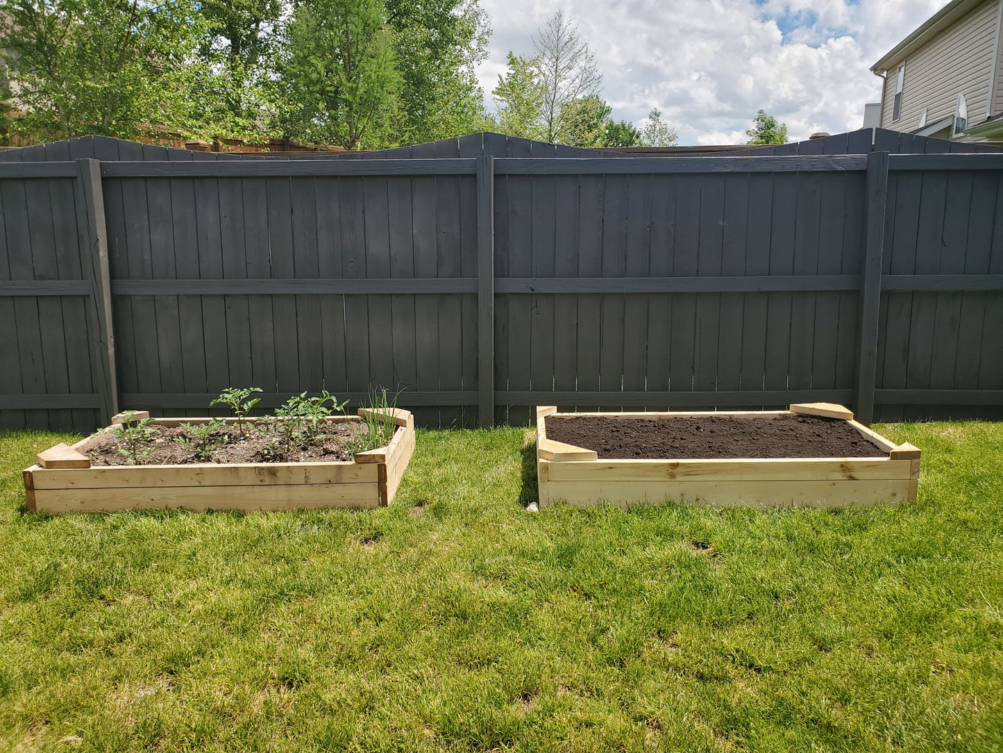 Raised Garden Bed